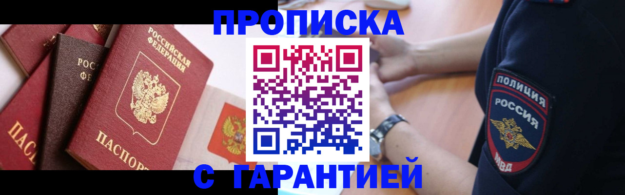 прописка законно в Борзе